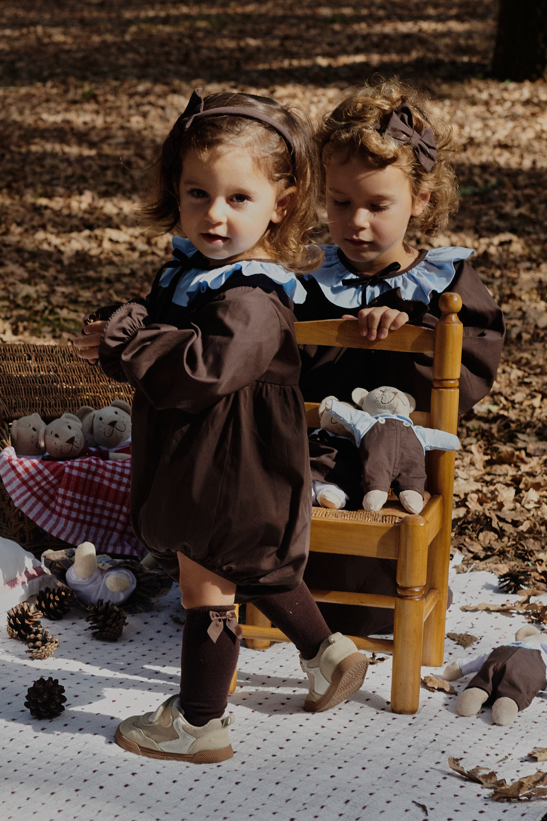 Fofo castanho com gola azul