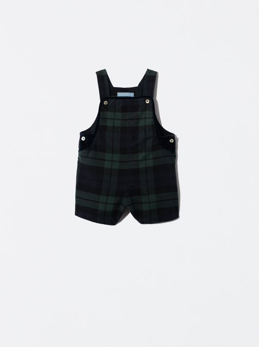 Jardineiras em xadrez verde